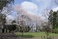 横川下原公園 - 八王子の点景