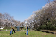 蓮生寺公園 - 八王子の点景