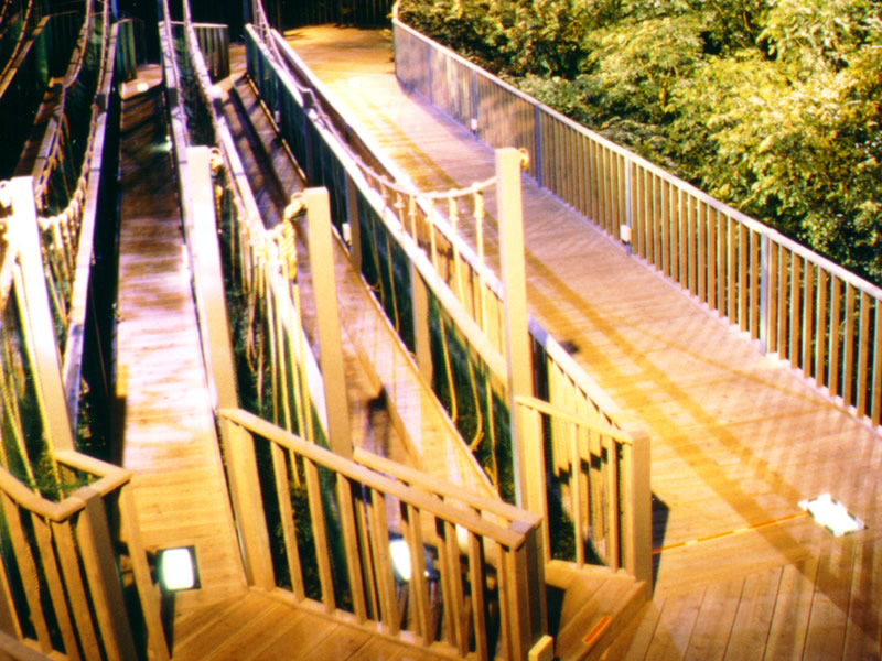 淡路花博ジャパンフローラ2000 体感振動シアターの関連写真集 : 緑と都市の館 吊り橋型観客ステージ